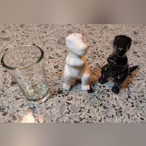 Black and White Dinosaur Salt And Pepper  Figurines